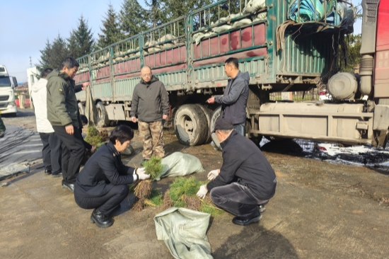 1746514044197817.jpg 严把苗木检疫关 守护绿色生态屏障(1).jpg