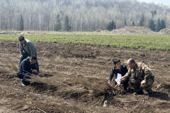 1746514053372127.jpg 严把苗木检疫关 守护绿色生态屏障(2).jpg