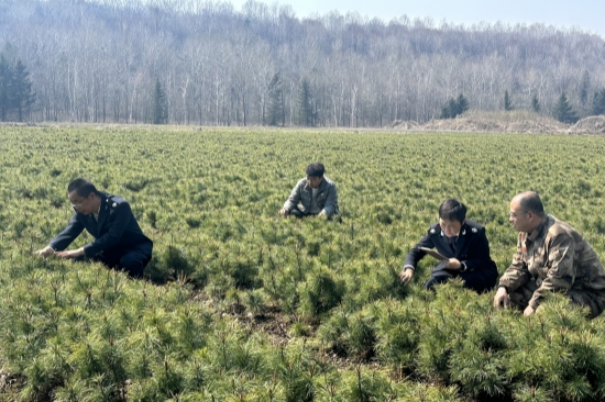 1746514068228993.jpg 严把苗木检疫关 守护绿色生态屏障(3).jpg